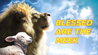 Are you a meek person? Matthew 5:5