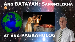 Criação e a Querda